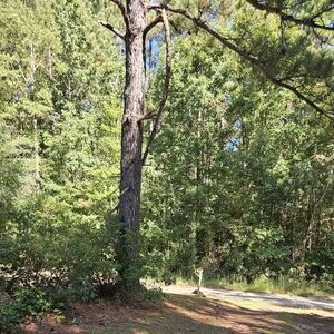 Meet your Posher, Adorable Dee